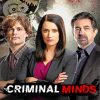 Criminal Minds Serie Paint By Numbers