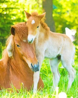 Cute Horse Family Paint By Numbers