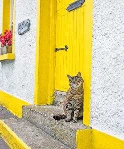 Cute Kitty Yellow Door Paint By Numbers