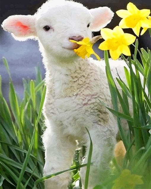 Cute Little Lamb Paint By Numbers