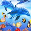 Dolphins Underwater With Tropical Fishes Paint By Numbers