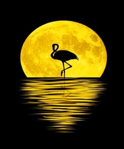 Flamingo Silhouette Moon Paint By Numbers