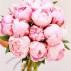 Flower Bouquet Pink Peony Paint By Numbers