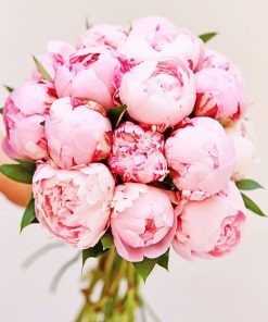 Flower Bouquet Pink Peony Paint By Numbers