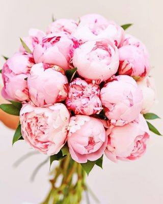 Flower Bouquet Pink Peony Paint By Numbers