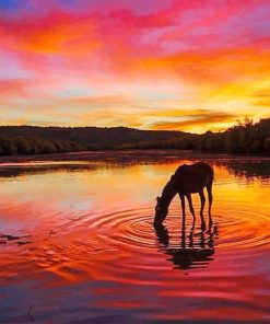 Horse At Sunset Paint By Numbers