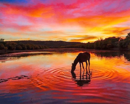 Horse At Sunset Paint By Numbers