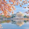 Jefferson Memorial In Cherry Blossom Paint By Numbers