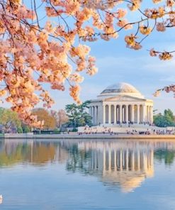 Jefferson Memorial In Cherry Blossom Paint By Numbers