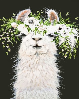 Lama With Flowers Paint By Numbers