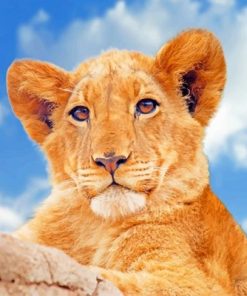 Lioness Under Blue Sky Paint By Numbers