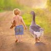 Little Boy With His Bird Friend Paint By Numbers