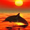 Lonely Dolphin Sunset Paint By Numbers