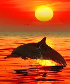 Lonely Dolphin Sunset Paint By Numbers