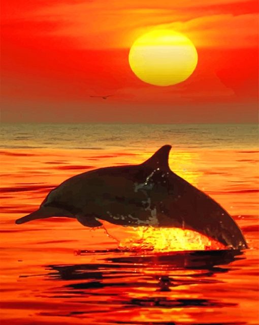 Lonely Dolphin Sunset Paint By Numbers