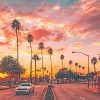 Los Angeles Palm Tree Sunset Paint By Numbers