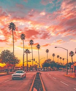 Los Angeles Palm Tree Sunset Paint By Numbers