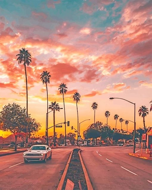 Los Angeles Palm Tree Sunset Paint By Numbers