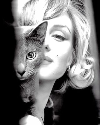 Marilyn Monroe With Her Cat Paint By Numbers