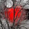 Moon Forest Red Silhouette Paint By Numbers