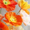 Orange And Yellow Poppies Flowers Paint By Numbers