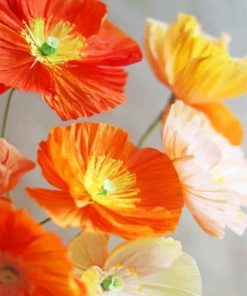 Orange And Yellow Poppies Flowers Paint By Numbers