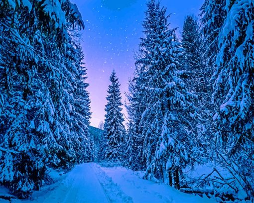 Photography Trees Covered With Snow Paint By Numbers