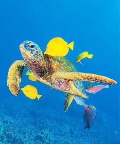 Sea Turtle And Fishes Paint By Numbers