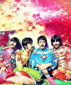 The Colorful Beatles Paint By Numbers