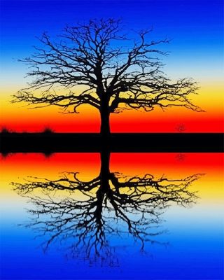 Tree Reflection In Water Paint By Numbers