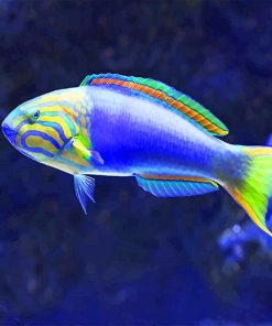 Tropical Blue Fish Paint By Numbers