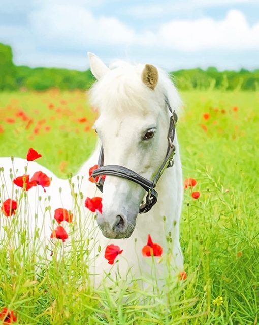 White Horse Flowers Field Paint By Numbers