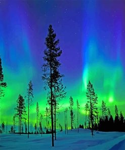 Arctic Aurora Landscape Paint By Numbers