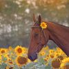 Beautiful Brown Horse Paint By Numbers