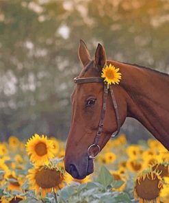 Beautiful Brown Horse Paint By Numbers