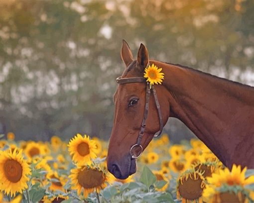 Beautiful Brown Horse Paint By Numbers