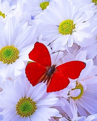 Beautiful White Flowers Red Butterfly Paint By Numbers