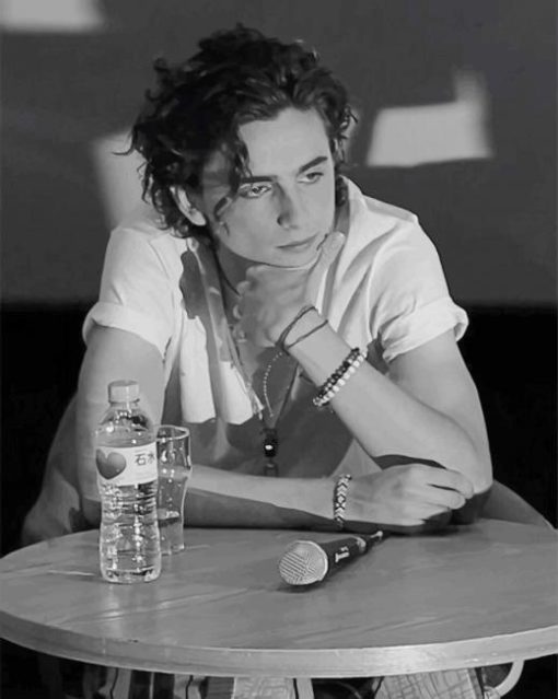 Black And White Timothee Chalamet Paint By Numbers