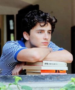 Classy Handsome Timothee Chalamet Paint By Numbers