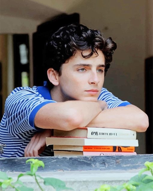 Classy Handsome Timothee Chalamet Paint By Numbers