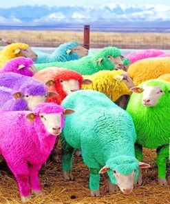 Cute Colorful Sheeps Paint By Numbers