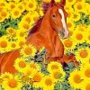 Cute Horse Sunflowers Paint By Numbers