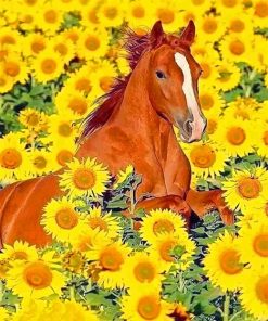 Cute Horse Sunflowers Paint By Numbers