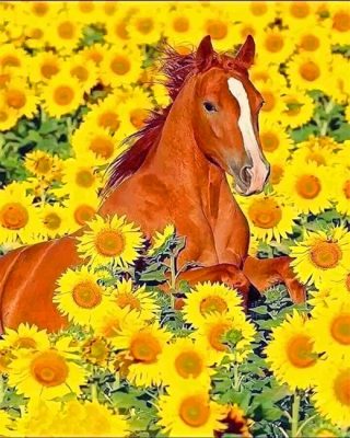 Cute Horse Sunflowers Paint By Numbers