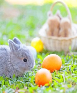 Easter Eggs And Bunny Paint By Numbers