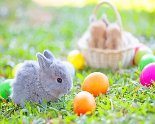 Easter Eggs And Bunny Paint By Numbers