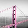 Pink Golden Gate Bridge Paint By Numbers