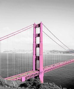 Pink Golden Gate Bridge Paint By Numbers