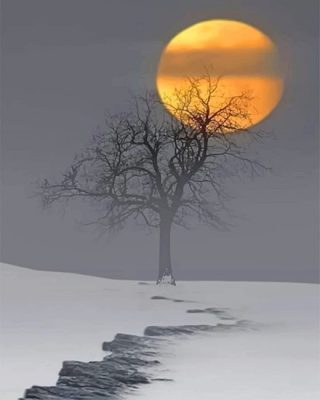 Snow Moon Paint By Numbers