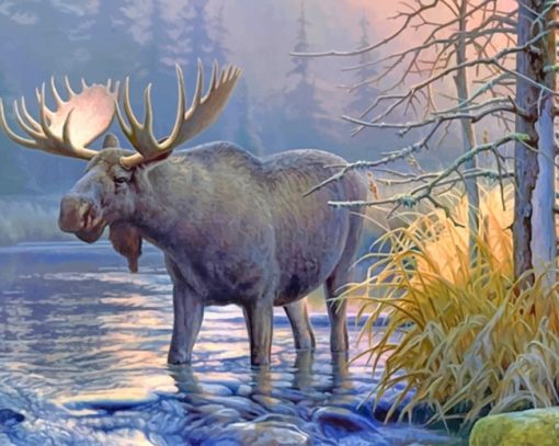 Wildlife Lake Moose Paint By Numbers